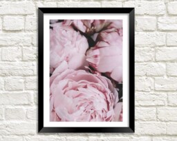 Peonies Print Blush Pink Peony Flowers Photo Art Poster - thumbnail 1
