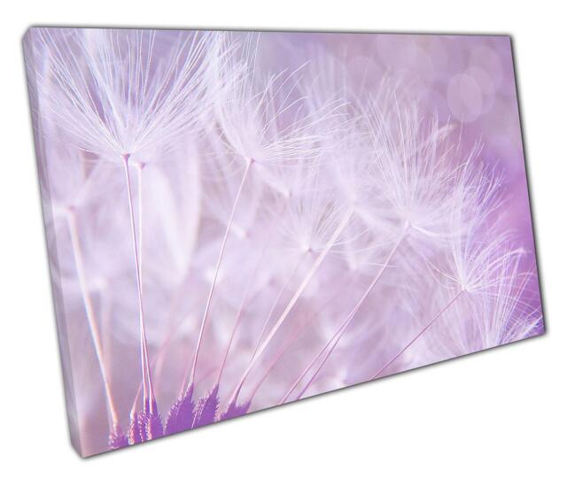 Purple Dandelion Canvas Wall Art Floral Home & Office Decor, Ready To Hang Artwork - image 1