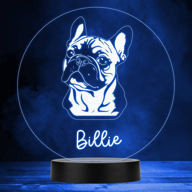 French Bulldog Dog Pet Multicolour Personalised Gift Led Lamp Night Light - Bedroom - image 1