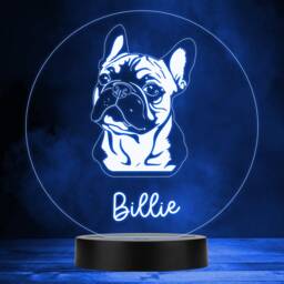 French Bulldog Dog Pet Multicolour Personalised Gift Led Lamp Night Light - Bedroom