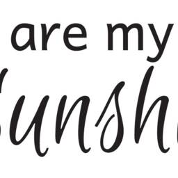 "Vinyl Wall Art Decal - ""You Are My Sunshine" - thumbnail 2