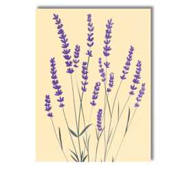 Minimalist Purple Lavender Sprigs Botanical Floral Illustration Canvas Wall Art Print Decor Picture Ready To Hang - thumbnail 1