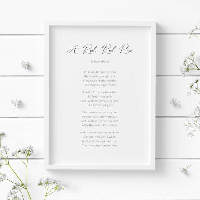 A Red, Red Rose Print - Robert Burns Poem Romantic Wall Art Wedding Or Anniversary Gift Unframed - image 1