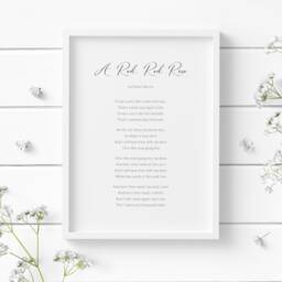A Red, Red Rose Print - Robert Burns Poem Romantic Wall Art Wedding Or Anniversary Gift Unframed