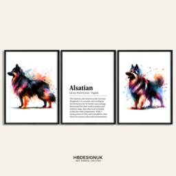 Alsatian Dog Prints - Set Of 3 Posters - Watercolor Definition Wall Art Colourful Painting Room Decor Pet Artwork Gift Watercolour - thumbnail 1