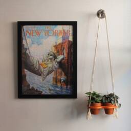 Plant Hanger/Macrame Planter Hanging Terracotta Pot Medium Pothos Peperomia Cotton Rope Pla - thumbnail 2