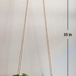 Plant Hanger/Macrame Planter Hanging Terracotta Pot Medium Pothos Peperomia Cotton Rope Pla - thumbnail 3