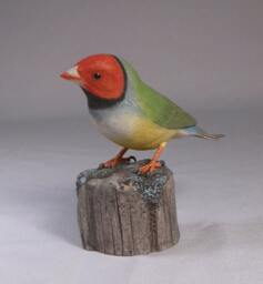 Gouldian Finch - White-Breast Hand Carved Wooden Bird