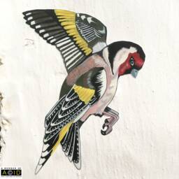Goldfinch Wall Decals, Bird Wall Decal, Nursery Decor, Art, Garden Birdwatcher Gift, Best Friend Gift - thumbnail 3