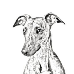 Whippet - Wooden Stand For Candles/Pens With The Image Of A Dog New Collection - thumbnail 2