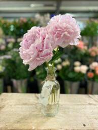 Vintage Style Ribbed Glass Bud Vase 19cm Clear Bottle - thumbnail 2