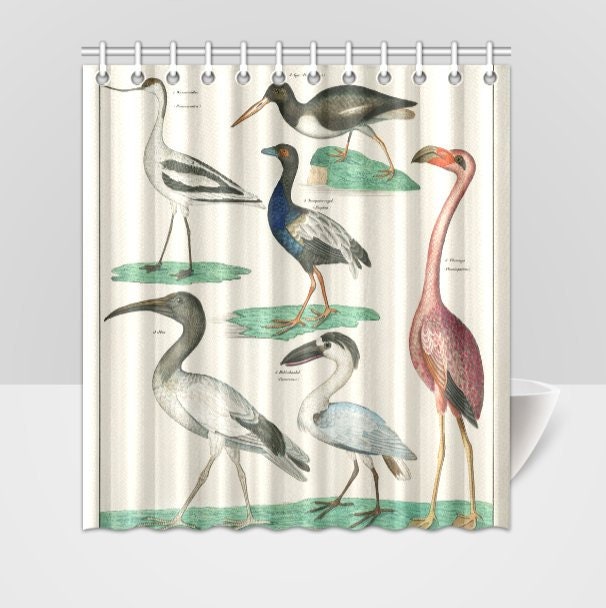 Zoology Birds Plate Animal Shower Curtain - image 1