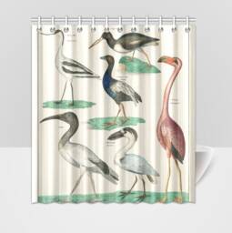 Zoology Birds Plate Animal Shower Curtain - thumbnail 1