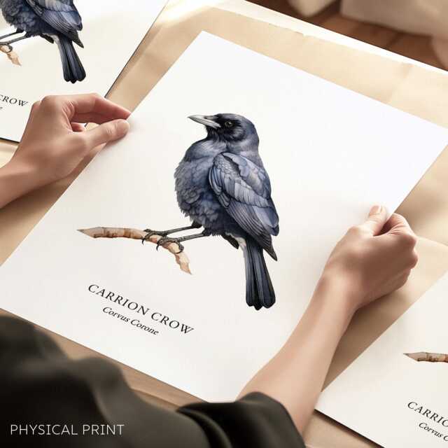 Crow Bird Print Home Decor, British Birds, Wall Posters - image 1