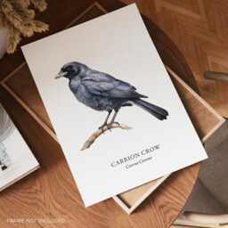 Crow Bird Print Home Decor, British Birds, Wall Posters - thumbnail 2