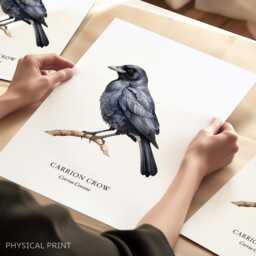 Crow Bird Print Home Decor, British Birds, Wall Posters - thumbnail 1