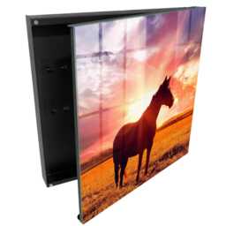 Horse in The Sun Key Cabinet For Home, Orange Box Wall, Photographic Animals, Nature & Animal Lovers - thumbnail 1