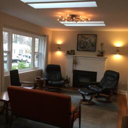 Atomic 16 Arm Flush Mount Ceiling Light Sputnik Mid Century Starburst - thumbnail 2