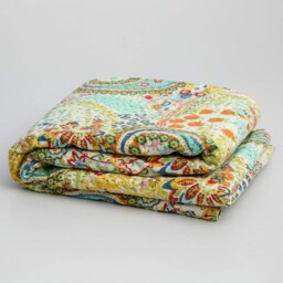 Indian Hand Stitched Paisley Twin Kantha Quilt Throw Paisley Recycled Blanket & Throw - thumbnail 2