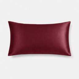 Pillowcase Gift For Her - 22 Momme Mulberry Silk - Queen Envelope Closure Self Care - thumbnail 4