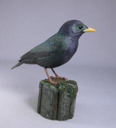 European Starling Wooden Carved Bird - thumbnail 2