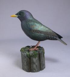European Starling Wooden Carved Bird - thumbnail 3