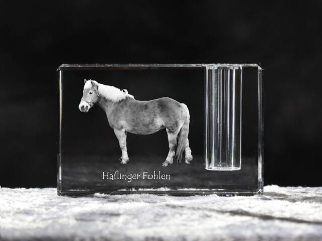 Haflinger, Crystal Pen Holder With Horse, Souvenir, Decoration, Limited Edition, Collection - image 1