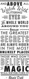Roald Dahl Believe in Magicquote - Wall Decal Custom Vinyl Art Stickers - thumbnail 3
