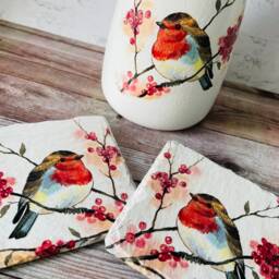Personalised Robin Vase Coasters Themed Gifts Robins Garden Birds - thumbnail 3