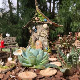 Handmade Fairy Garden, Custom Succulent Planter, Personalized Gift - thumbnail 3