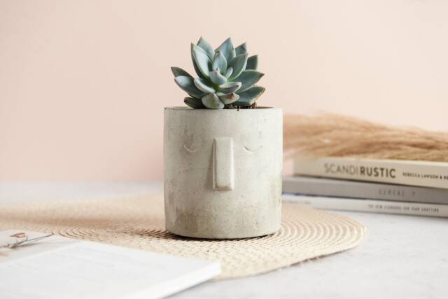 Moai Style 3D Face Plant Pot, Cast in Concrete - image 1