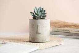 Moai Style 3D Face Plant Pot, Cast in Concrete