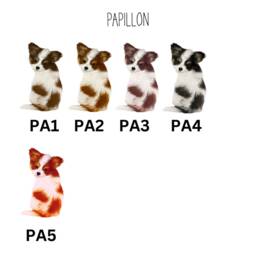 Papillon Dog Definition Print, Wall Print For Owner, Gift Butterfly Dog - thumbnail 2