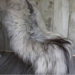 Natural Grey Icelandic Sheepskin . Extra Long, Double Length, Sheepskin, Natural Un Dyed , Hygge, Scandi, Nordic, Danish, In - thumbnail 2