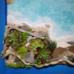 Wall Decoration With Moss Stabilized Plant Picture - thumbnail 3