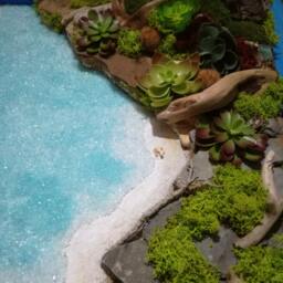 Wall Decoration With Moss Stabilized Plant Picture - thumbnail 2