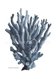 Navy Blue Coral Print On Smooth Watercolour Paper. Beach Bathroom Sea Life Print. Sealife - thumbnail 1