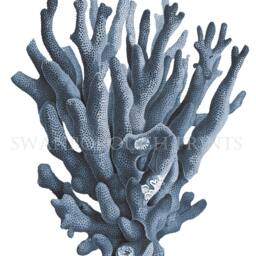 Navy Blue Coral Print On Smooth Watercolour Paper. Beach Bathroom Sea Life Print. Sealife - thumbnail 2