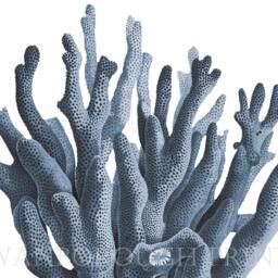 Navy Blue Coral Print On Smooth Watercolour Paper. Beach Bathroom Sea Life Print. Sealife - thumbnail 3