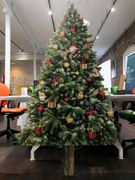 Alternative Christmas Tree For Elderly Nursing Homes, Classrooms, Apartments, Hospitals, Dorms - thumbnail 1