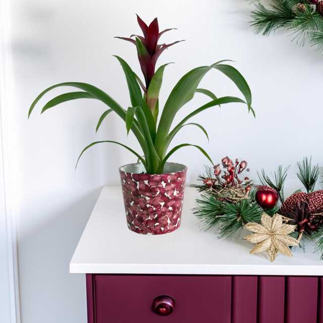 Hand Painted Burgundy & Gold Plant Pot Modern Boho Planter - image 1