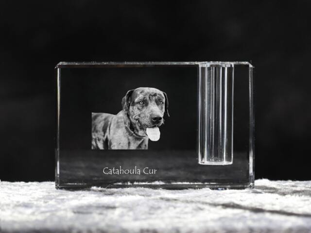 Catahoula Cur , Crystal Pen Holder With Dog, Souvenir, Decoration, Limited Edition, Collection - image 1