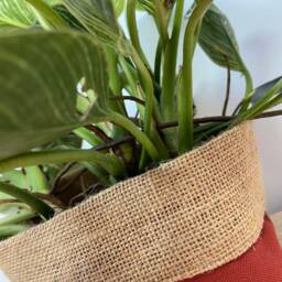 Rust Burlap Plant Pot Cover - Reversible Jute Basket, Australian Made - thumbnail 2