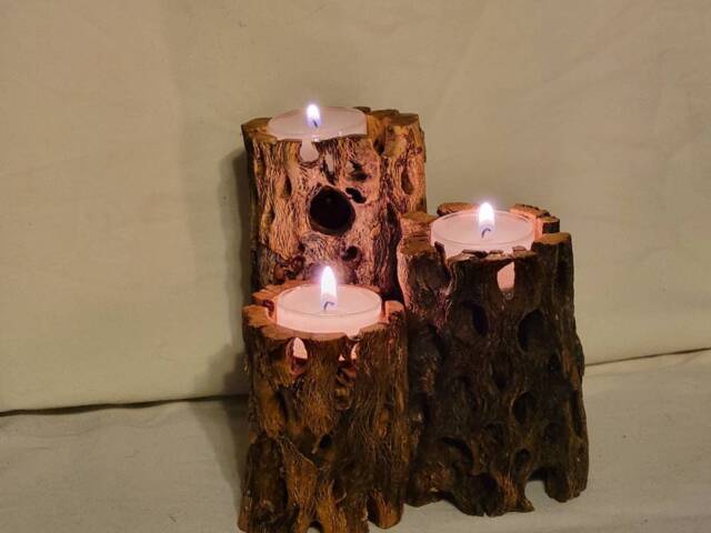 Southwest Cholla Cactus Triple Tea Light Holder - image 1