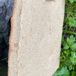 Fox in Profile Tile - thumbnail 2