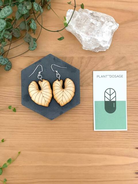 Large Philodendron Gloriosum Earrings - image 1