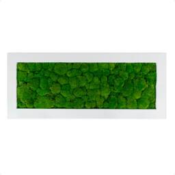 Picture Of The Pillow Moss in A Frame Wooden White - thumbnail 2