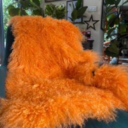 Bright Orange Mongolian Sheepskin Throw/Rug - Free Shipping 100% Genuine - 19 Other Colours Under Separate Listing - thumbnail 2