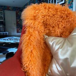 Bright Orange Mongolian Sheepskin Throw/Rug - Free Shipping 100% Genuine - 19 Other Colours Under Separate Listing - thumbnail 3