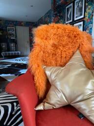 Bright Orange Mongolian Sheepskin Throw/Rug - Free Shipping 100% Genuine - 19 Other Colours Under Separate Listing - thumbnail 1